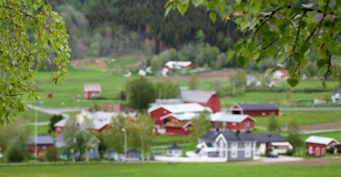 Info om Misvær